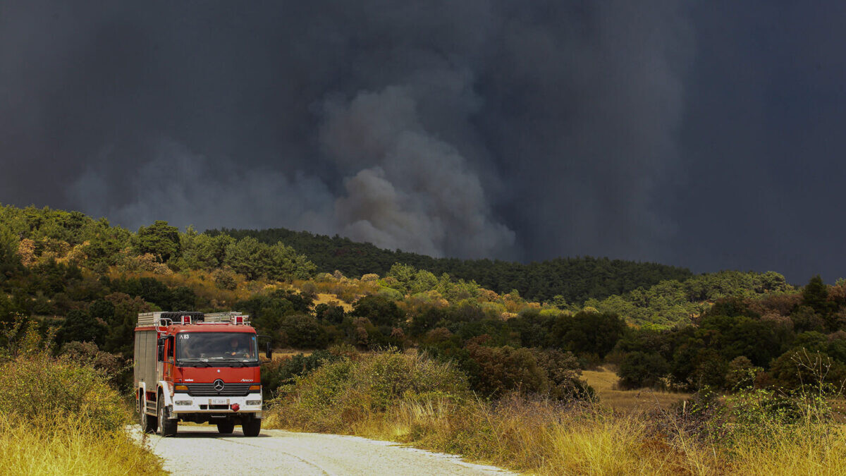 Έβρος: Ένα χρόνο μετά τη φωτιά, βάζουν ανεμογεννήτριες σε βιότοπους