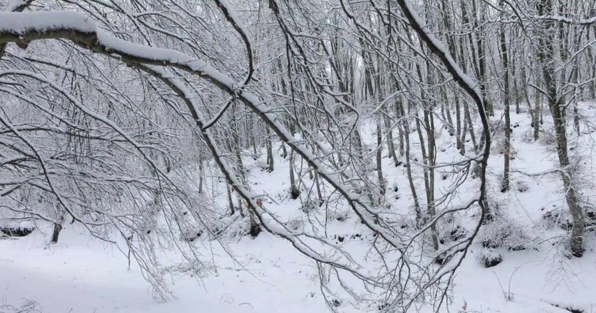 Χάρτης δείχνει σε ποιες περιοχές της Ελλάδας θα χιονίσει μέχρι την Κυριακή