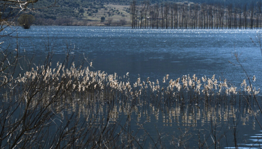 Ανατρίχιασαν όλοι με το θέαμα: Έτσι βρήκαν τον Μπάμπη νεκρό στο βάλτο, η λεπτομέρεια που ανατριχιάζει