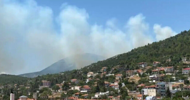 Μεγάλη φωτιά τώρα στην Αττική δίπλα σε σπίτια – Συναγερμός στην Πυροσβεστική