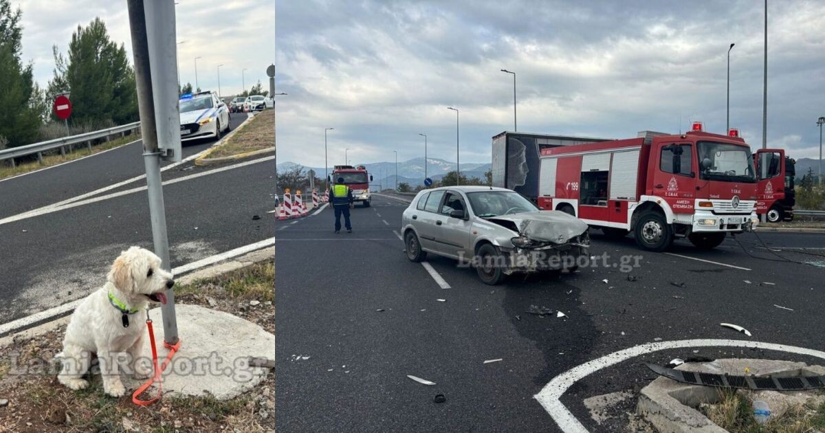 Λαμία: Nεκpός 54χρονος σε τροχαίo – Το σκυλάκι του διασώθηκε και περίμενε τον ιδιοκτήτη του δίπλα στο τρακάρισμα