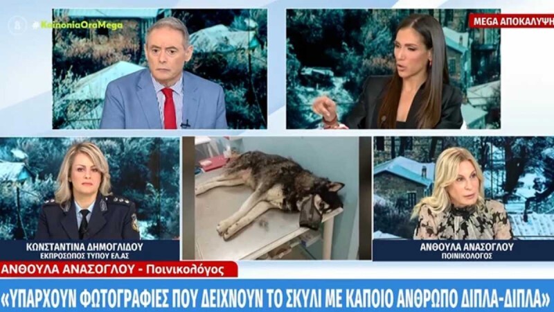 Όλα τούμπα με την Αράχωβα: «Υπάρχουν φωτογραφίες που δείχνουν το σκυλί με κάποιον άνθρωπο»