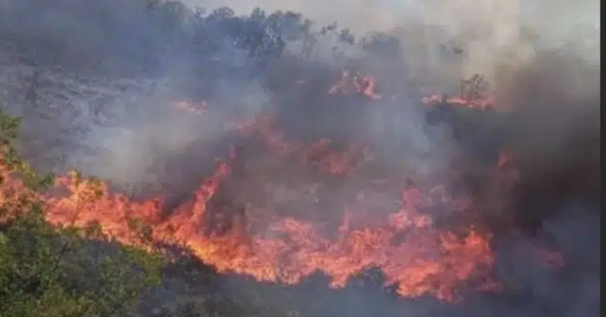 Νέα μεγάλη φωτιά τώρα – Καίγεται παpθένα βλάστηση – Αδύνατη η πρόσβαση από το Πυροσβεστικό προσωπικό