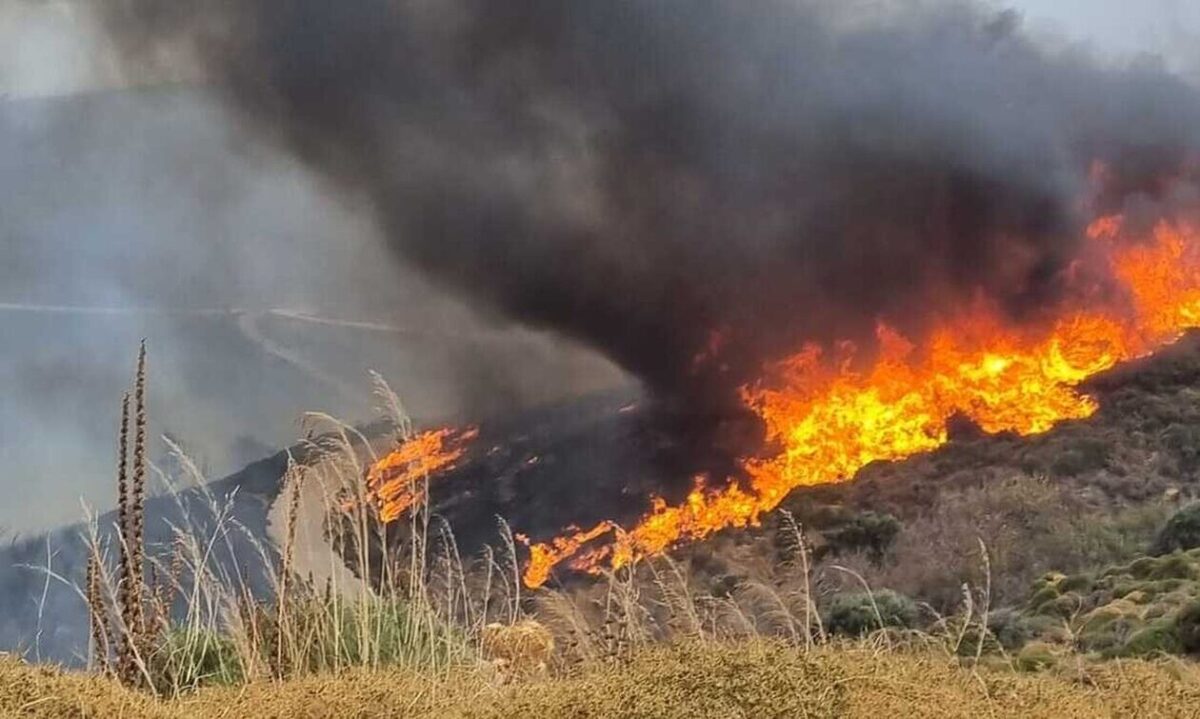 Φωτιά στην Κάρυστο: Ανεξέλεγκτο το πύρινο μέτωπο – Έχουν εκκενωθεί δύο χωριά, ραγδαίες εξελίξεις