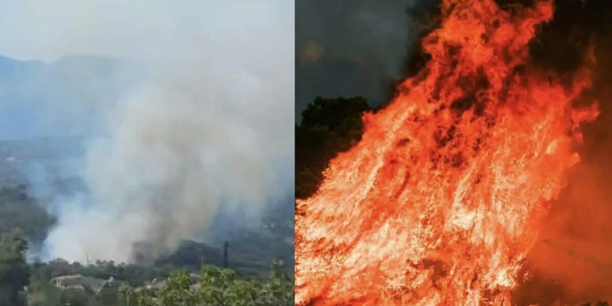 Νέα μεγάλη και επικίνδυνη φωτιά τώρα – Ισχυρές δυνάμεις της Πυροσβεστικής