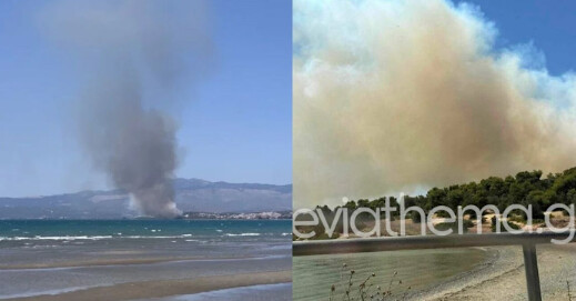 Έκτακτο: Μεγάλη φωτιά τώρα στη Νέα Αρτάκη – Καίγονται σπίτια, εκκενώνονται περιοχές