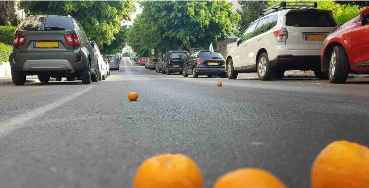 Άγνωστοι βάζουν πορτοκάλια στον δρόμο -Γιατί δεν πρέπει να τα πατήσεις με το αυτοκίνητό σου