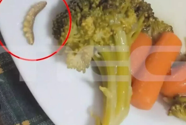 Σοκαριστικές φωτογραφίες: Σκουλήκια, τρίχες και πούπουλα στα γεύματα που μοιράζονταν στους μαθητές στη Λαμία