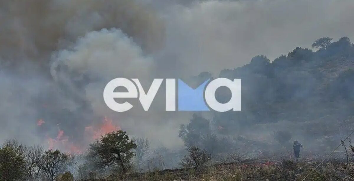 Εύβοια: Μεγάλη φωτιά στον Αλμυροπόταμο – Ήχησε το 112
