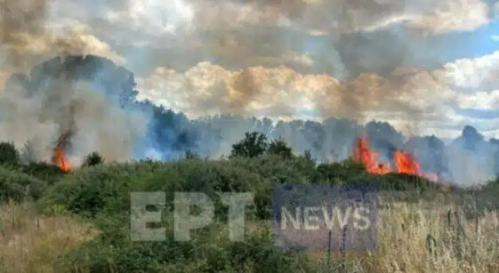 Φωτιά τώρα: Πυρκαγιά σε φωτοβολταϊκό πάρκο σε δάσος
