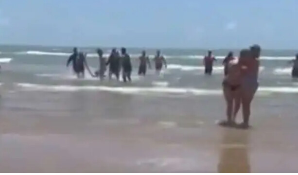 Τρόμος σε παραλία, καρχαρίας επιτέθηκε και τραυμάτισε τέσσερα άτομα