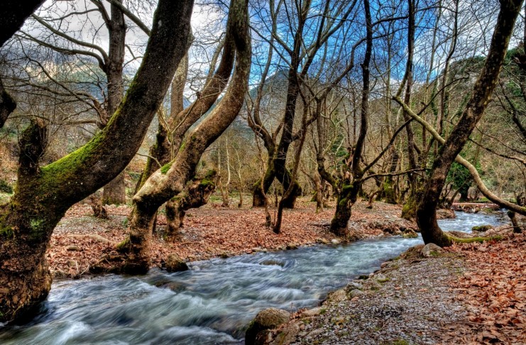 Το άγνωστο χωριό στις πηγές του Aροάνιου ποταμού με το πιο παράξενο όνομα στην Ελλάδα! Εκεί βρίσκεται το Ωραιότερο Πλατανόδασος της Ευρώπης!