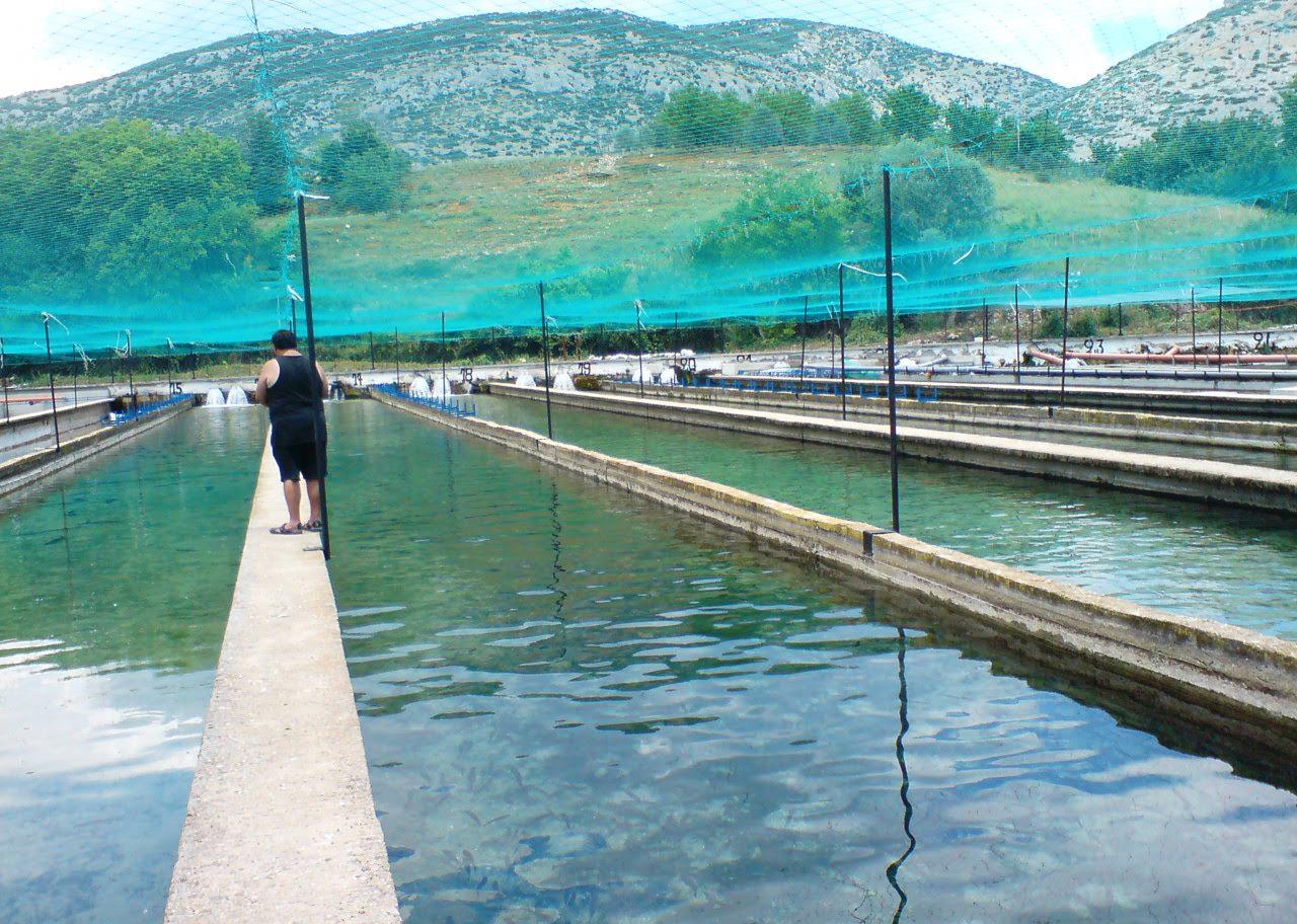 Θυμίζει Ολλανδικό τοπίο. Στην πραγματικότητα όμως πρόκειται για ένα υπέροχο Ελληνικό χωριό!