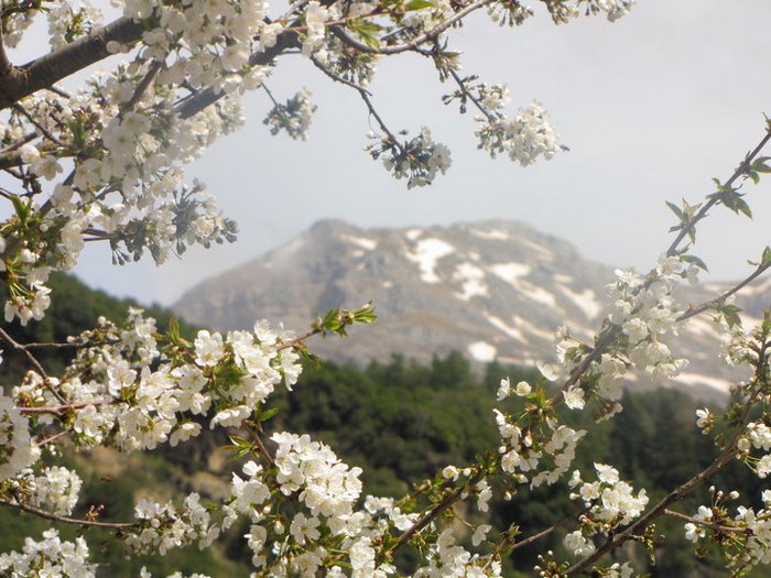 Σε ένα πανέμορφο αλπικό τοπίο βρίσκεται χτισμένο ένα κουκλίστικο χωριό πνιγμένο στα έλατα, τα πεύκα και τις κουμαριές. 