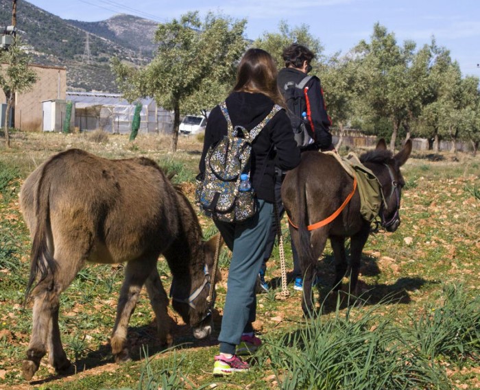 Λίγα χλμ από την Αθήνα βρίσκεται η Γαιδουροχώρα. Το μοναδικό κέντρο για το γαιδουράκι στην Ελλάδα