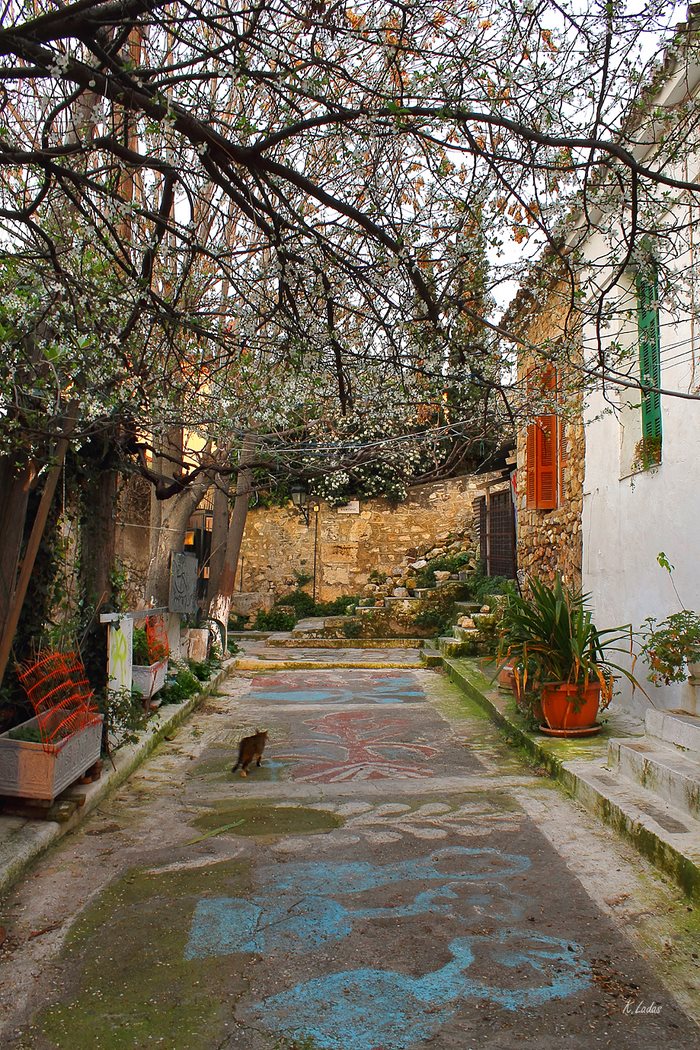 Αναφιώτικα.. Η γειτονιά των ονείρων