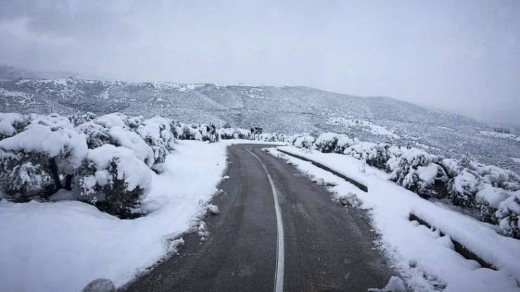 Στα «λευκά» ο Παρνασσός – Επεσαν τα πρώτα χιόνια (βίντεο)