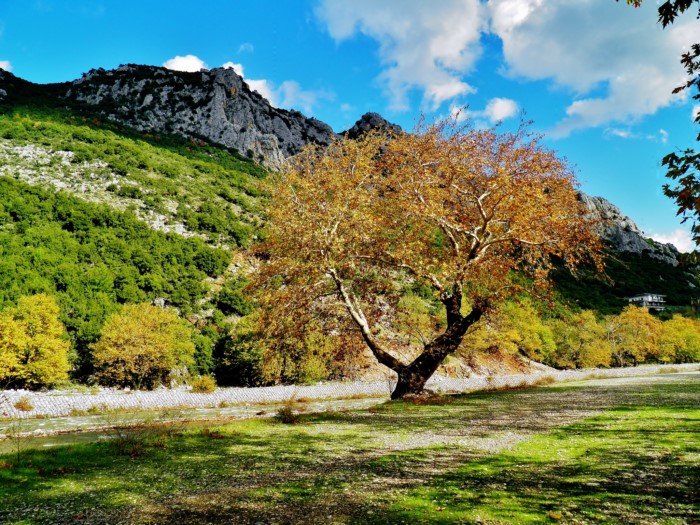 Το παραμυθένιο χωριό της Ελλάδας που μάγεψε την Microsoft