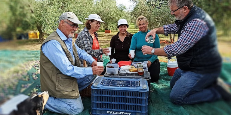 Κολατσιό ανάμεσα στο μάζεμα της ελιάς -«Τύφλα να ’χουν τα γκουρμέ»