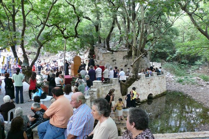 Ανεξήγητο θαύμα της φύσης: Το εκκλησάκι με τα 17 δέντρα στην Αρκαδία που μπήκε στο βιβλίο Γκίνες