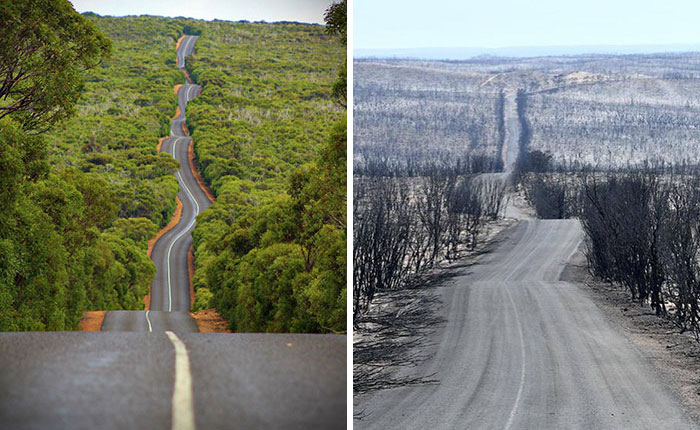 Kangaroo Island