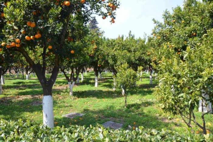 Ένα από τα καλύτερα ξενοδοχεία του κόσμου βρίσκεται στην Χίο!