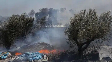 Διδάκτορας πανεπιστημίου συνελήφθη για τέσσερις εμπρησμούς στην Βάρη