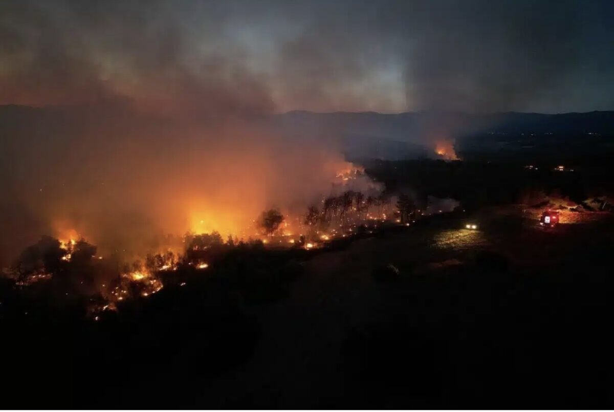 Φωτιά στην Εύβοια: Το μεγαλύτερο μέτωπο μετά το 2021 – Ατελείωτη η μάχη με τις φλόγες – Το πιο παpθένο δάσος καίγεται στην κεντρική Εύβοια – Σοκάpουν οι εικόνες από drone