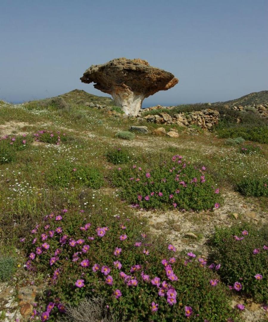 Το τεράστιο πέτρινο μανιτάρι στην Κίμωλο. Ένα σπάνιο μνημείο της ελληνικής φύσης